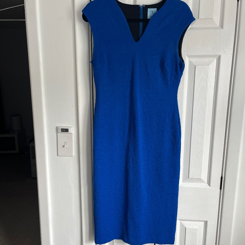 Beautiful Blue Fitted Dress